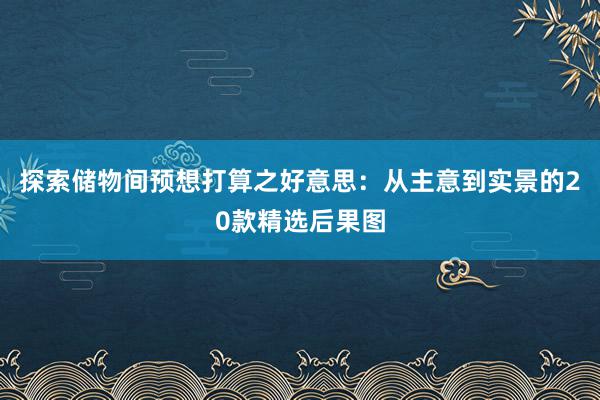 探索储物间预想打算之好意思：从主意到实景的20款精选后果图